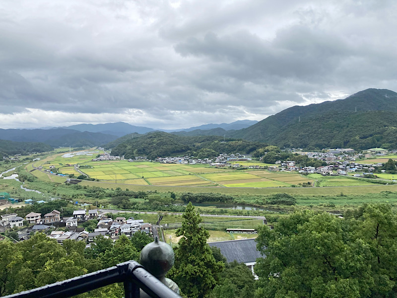 スタントマン旅行2日目 四万十市郷土博物館 展望台からの景色②