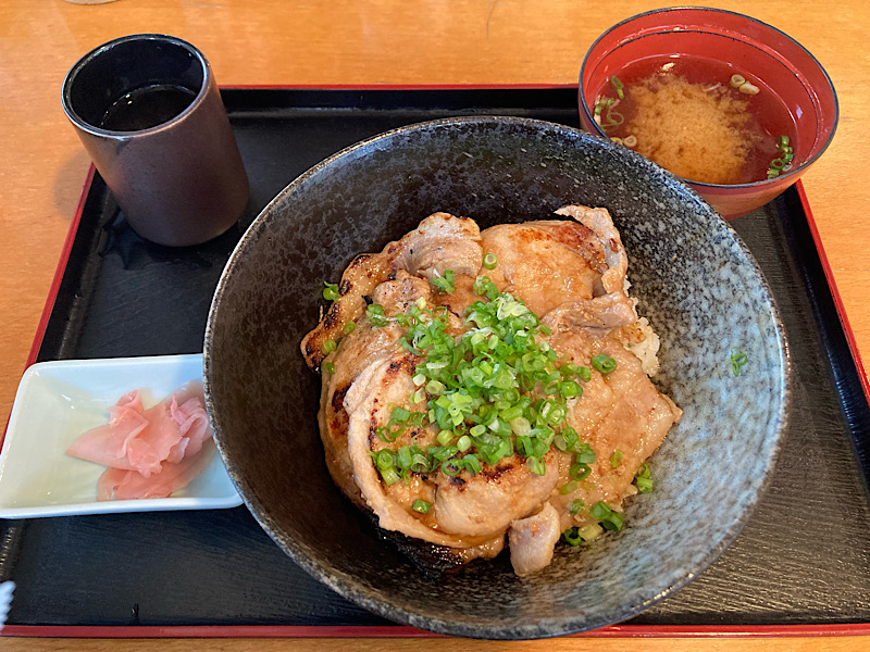 スタントマン旅行2日目 道の駅あぐり窪川 米豚丼 薄切り紅しょうがと味噌汁つき