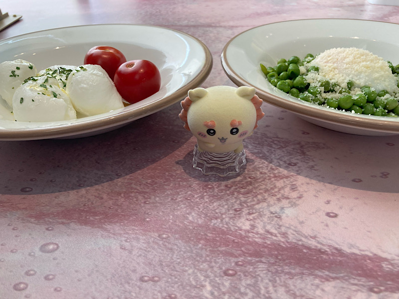 サイゼ　カプレーゼ　青豆のサラダ　シーサー